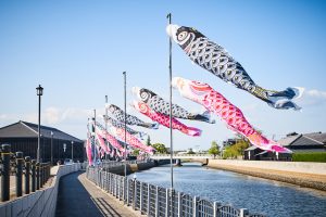 半田運河の鯉のぼり
